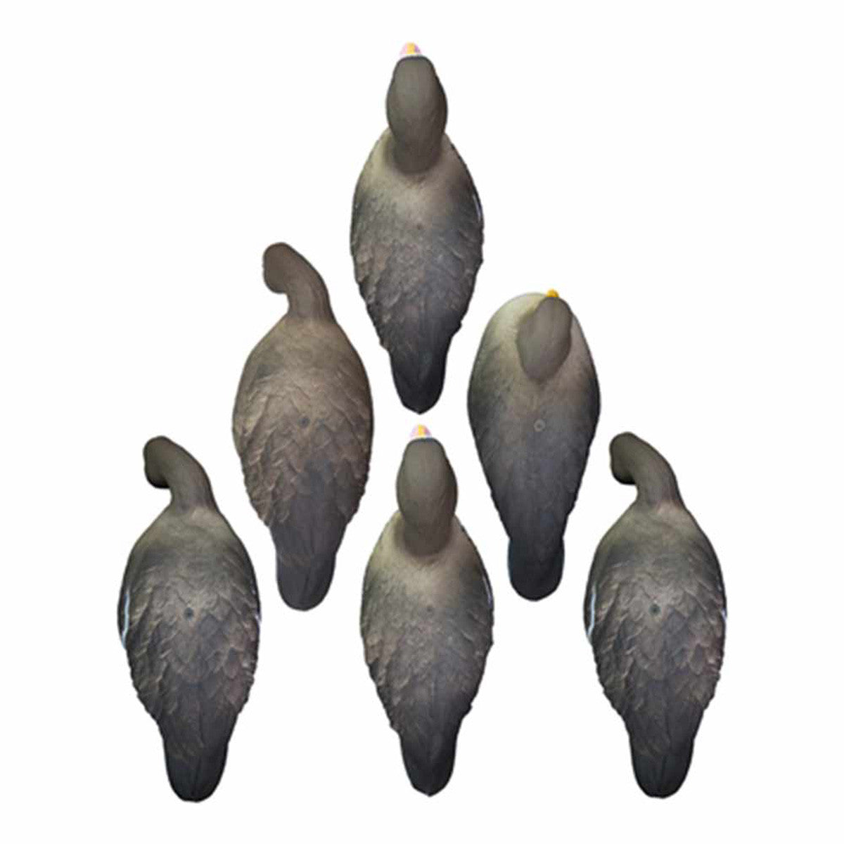 Higdon Outdoors Apex Full Size Full Body Specklebelly, 6 Pack Top Image