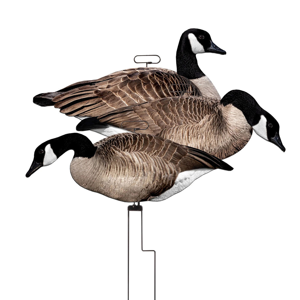 Higdon FLATS Magnum Canada Goose Motion Silhouette Decoys Image