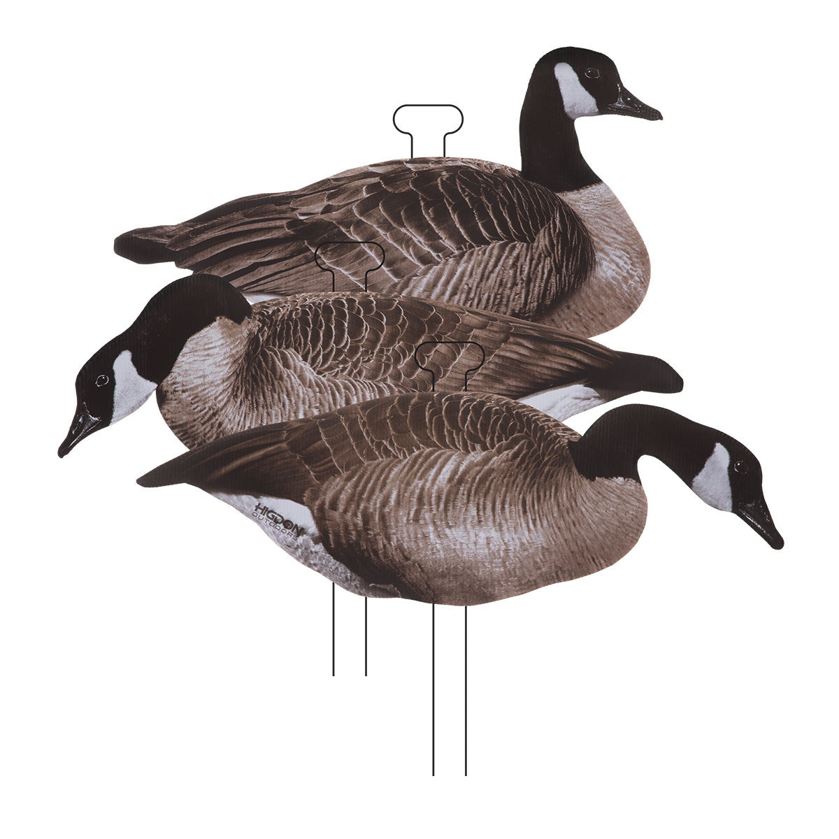 Higdon FLATS Canada Goose Standard Decoys Image