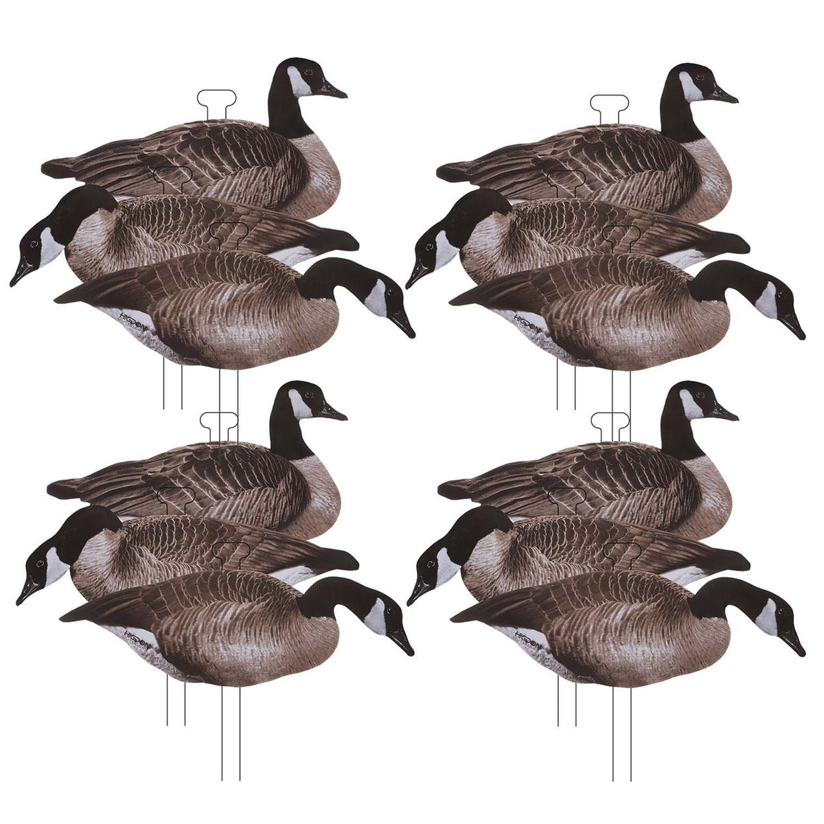 Higdon FLATS Canada Goose Standard Decoys 12 Pack Image