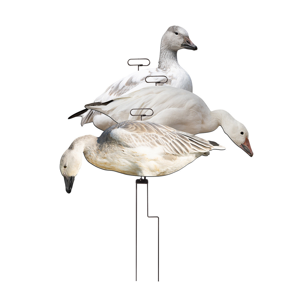 Higdon FLATS Magnum Snow/Juvie Motion Silhouette Goose Decoys Group Image