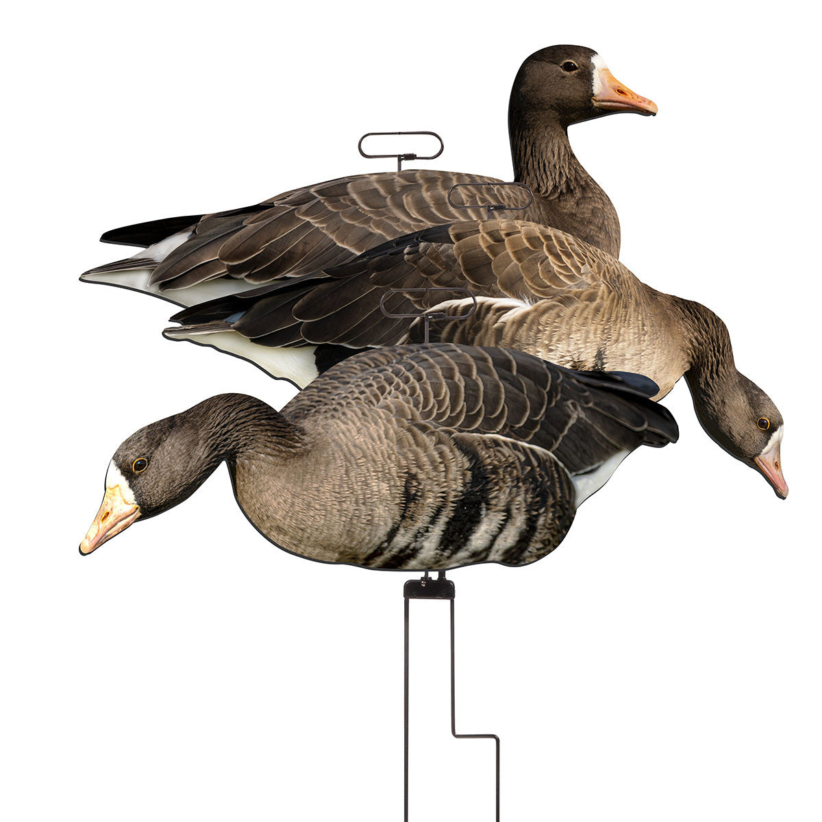 Higdon FLATS Specklebelly Goose Motion Silhouette Decoys Group of 3 Image