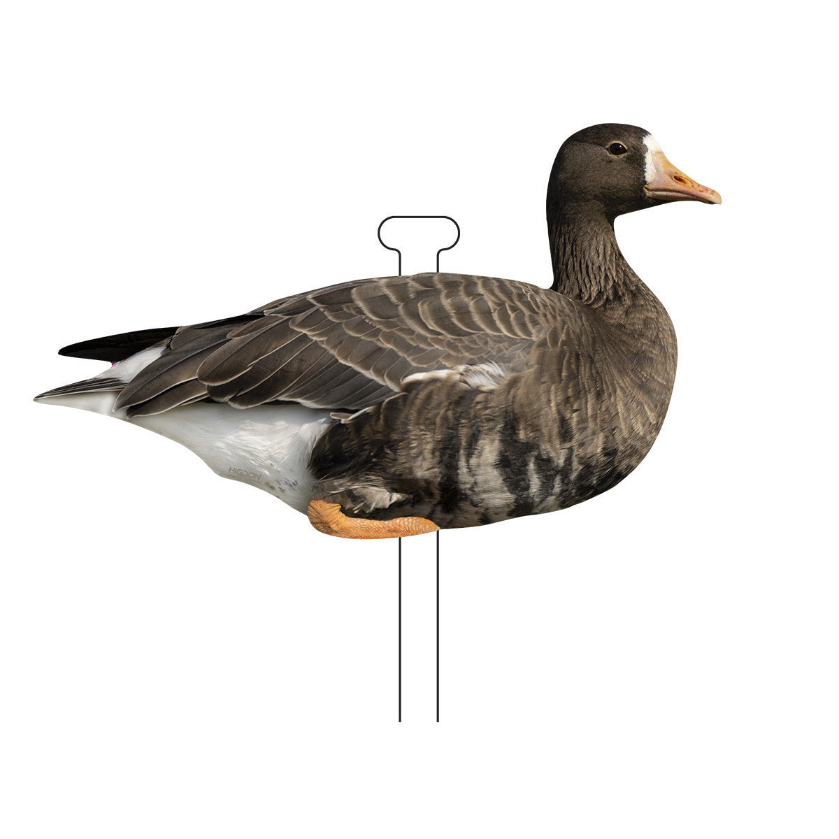 FLATS Standard Specklebelly Goose Silhouette Decoys Up Right