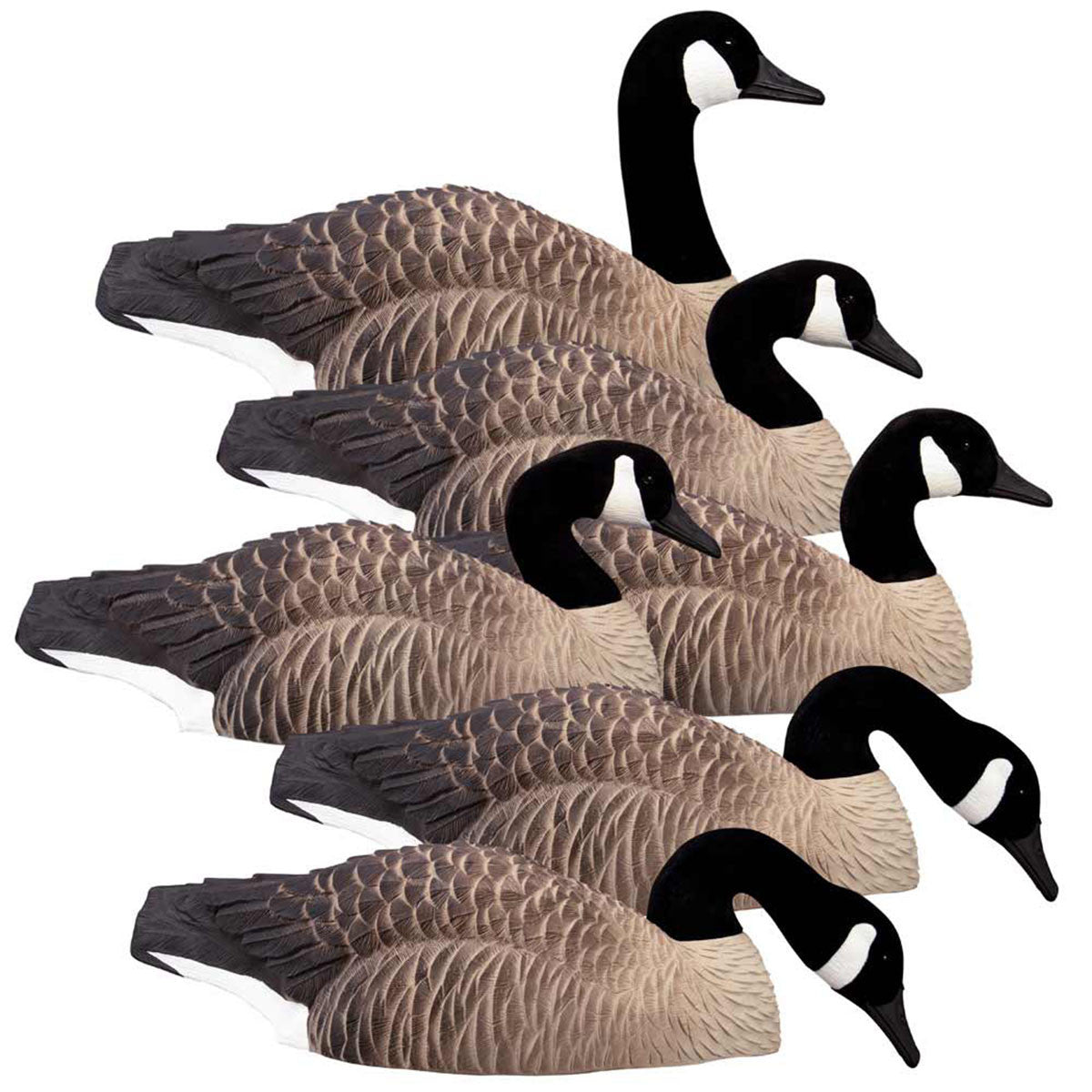 Higdon Magnum Half Shell Canada Goose Decoys Image