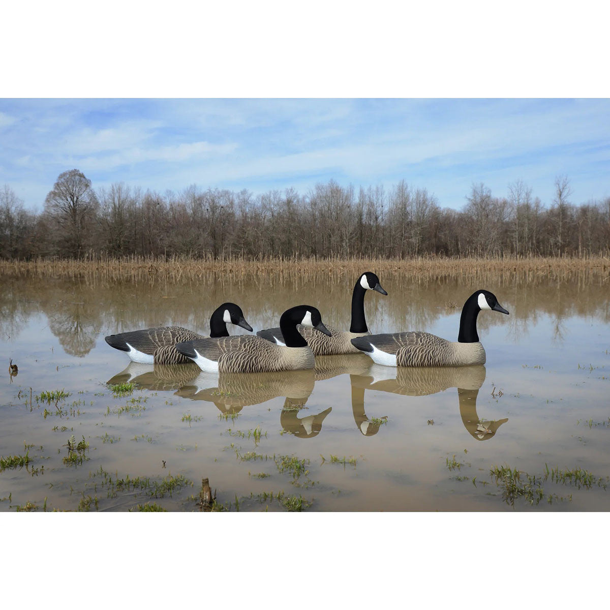Higdon Outdoors Full-Size Foam-Filled Canada Goose Floaters 4 Pack Lifestyle Image