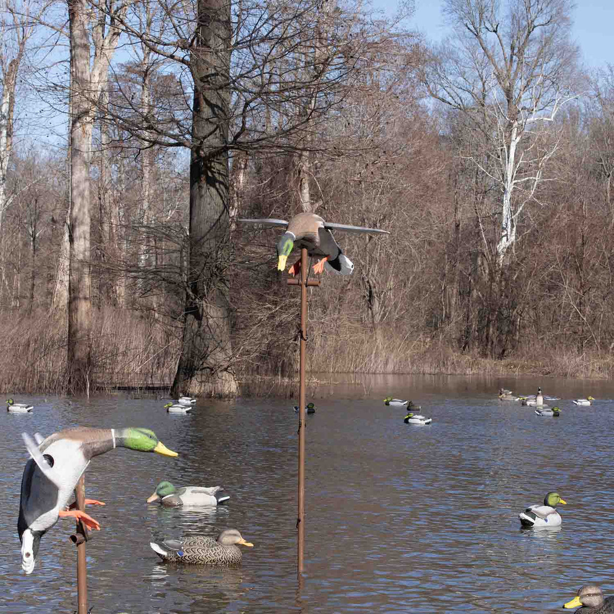 Field Image of the Flasher Pro Replacement Stake.