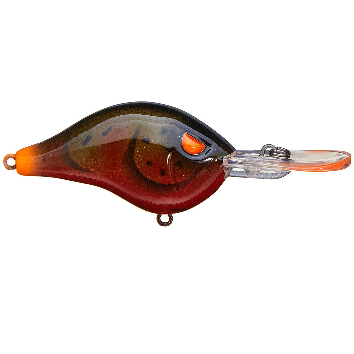 Shad Dad Crankbait 1/2 oz  Shallow Diver