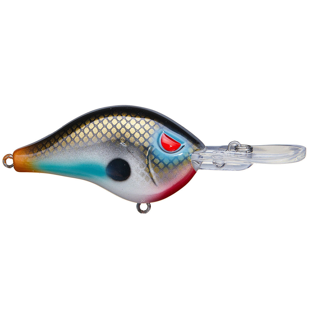 Shad Dad Crankbait 1/2 oz  Shallow Diver
