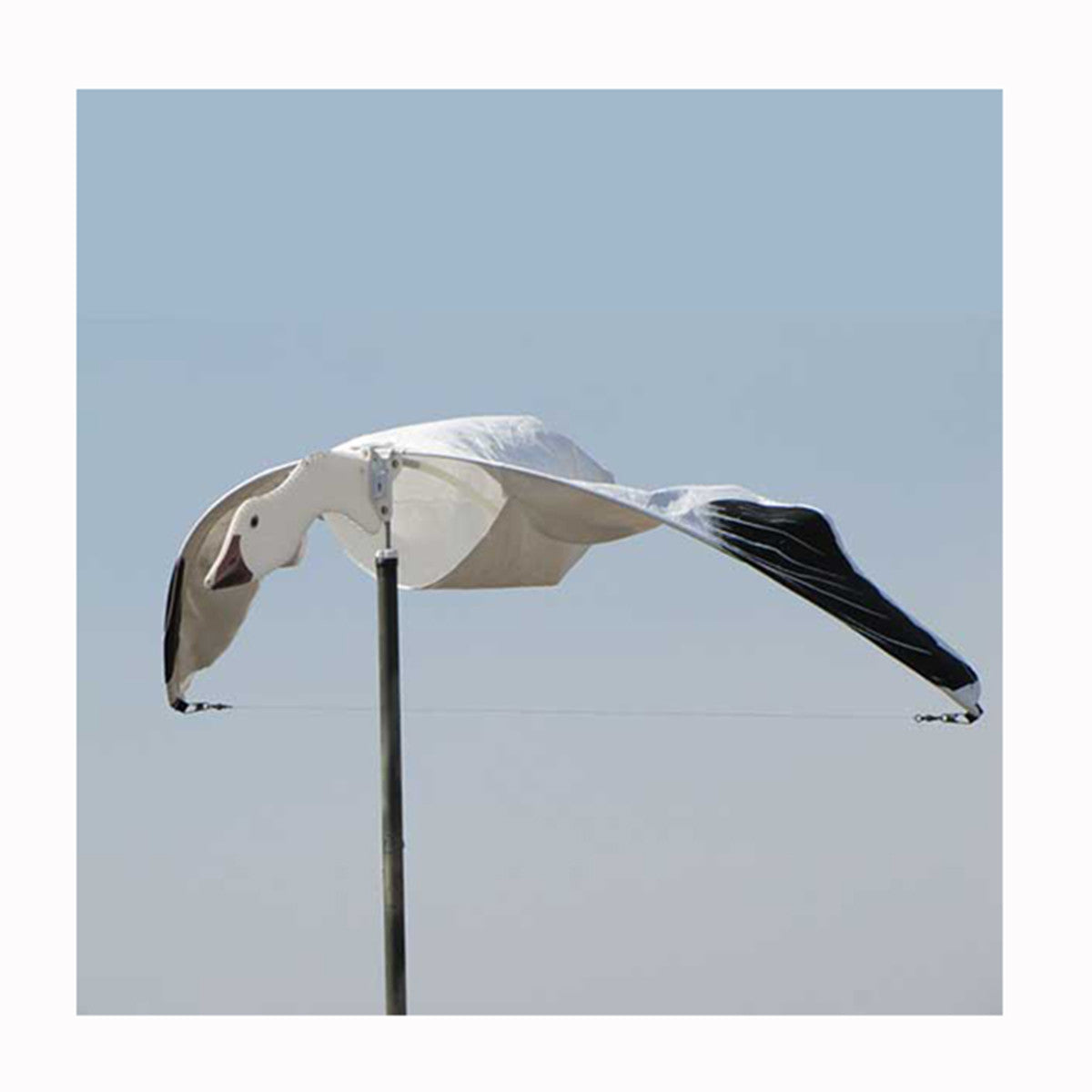 Cupped and Committed Snow Goose Decoy, Single Pack