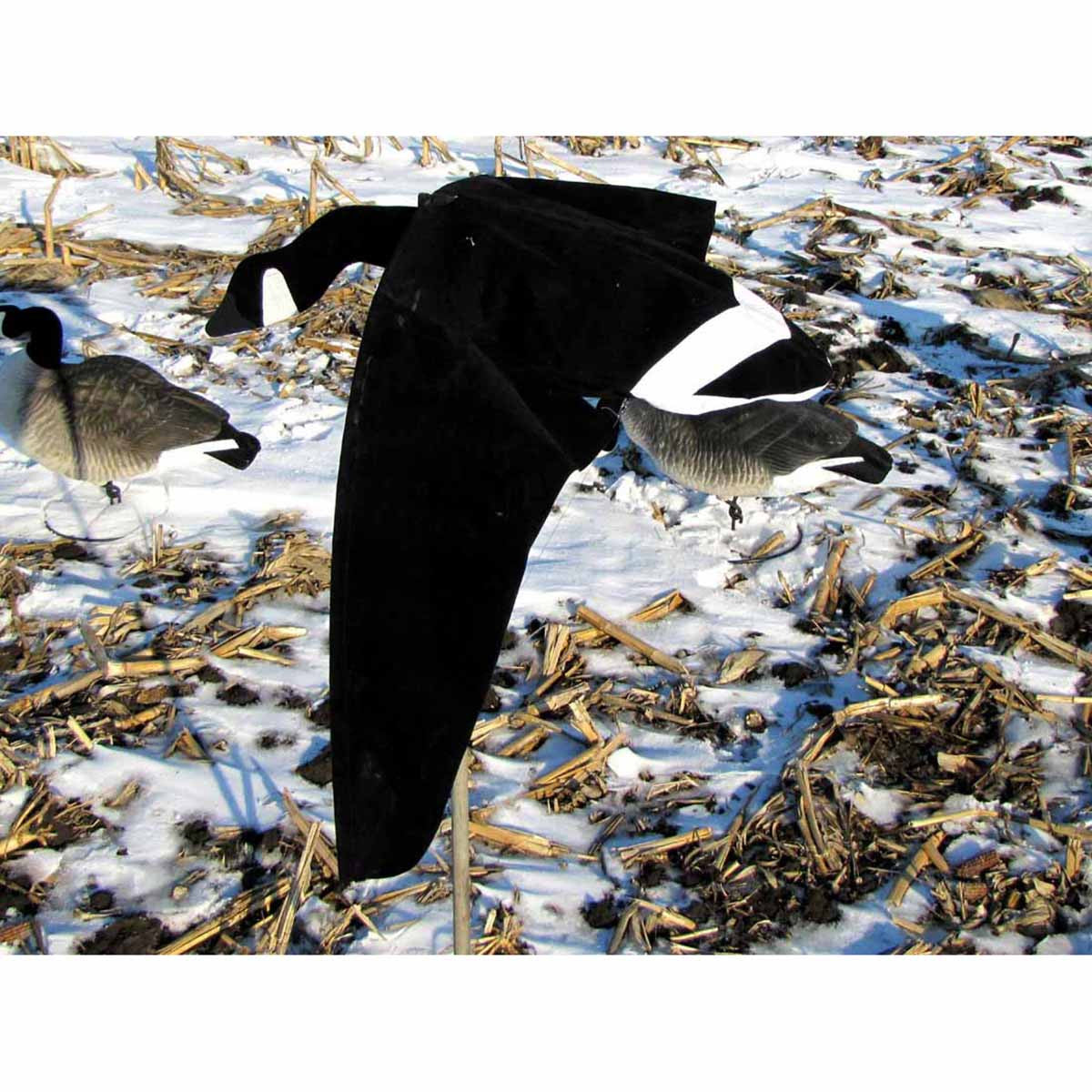 Cupped and Committed Motion Decoy, Canada Goose Single Pack