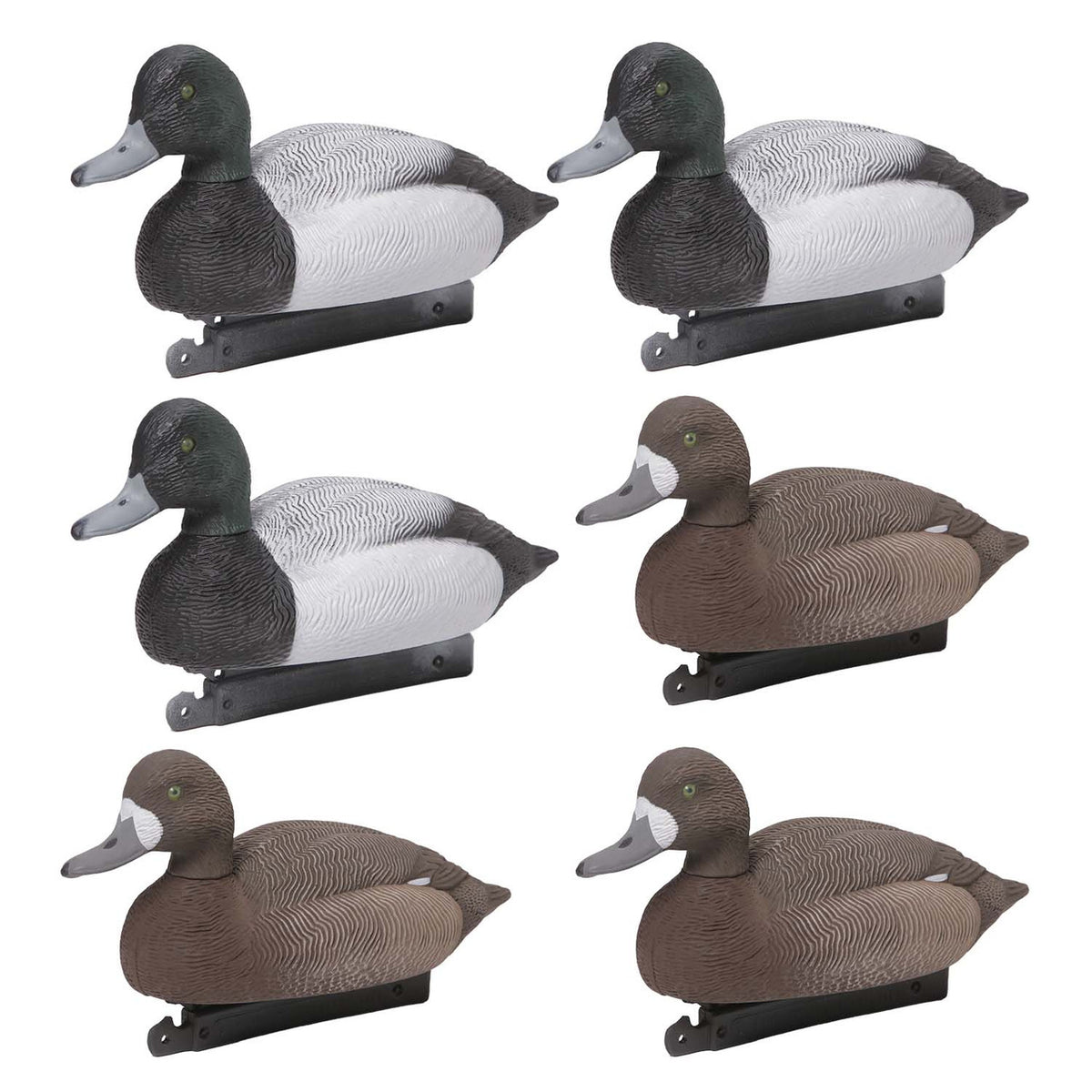 Six Pack Image of the G&H Decoys Premier Series Bluebill Duck Decoys.