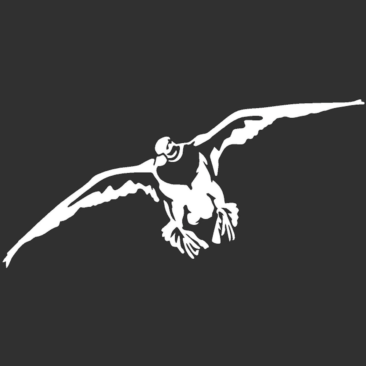 Hunters Image Drake Mallard Decal