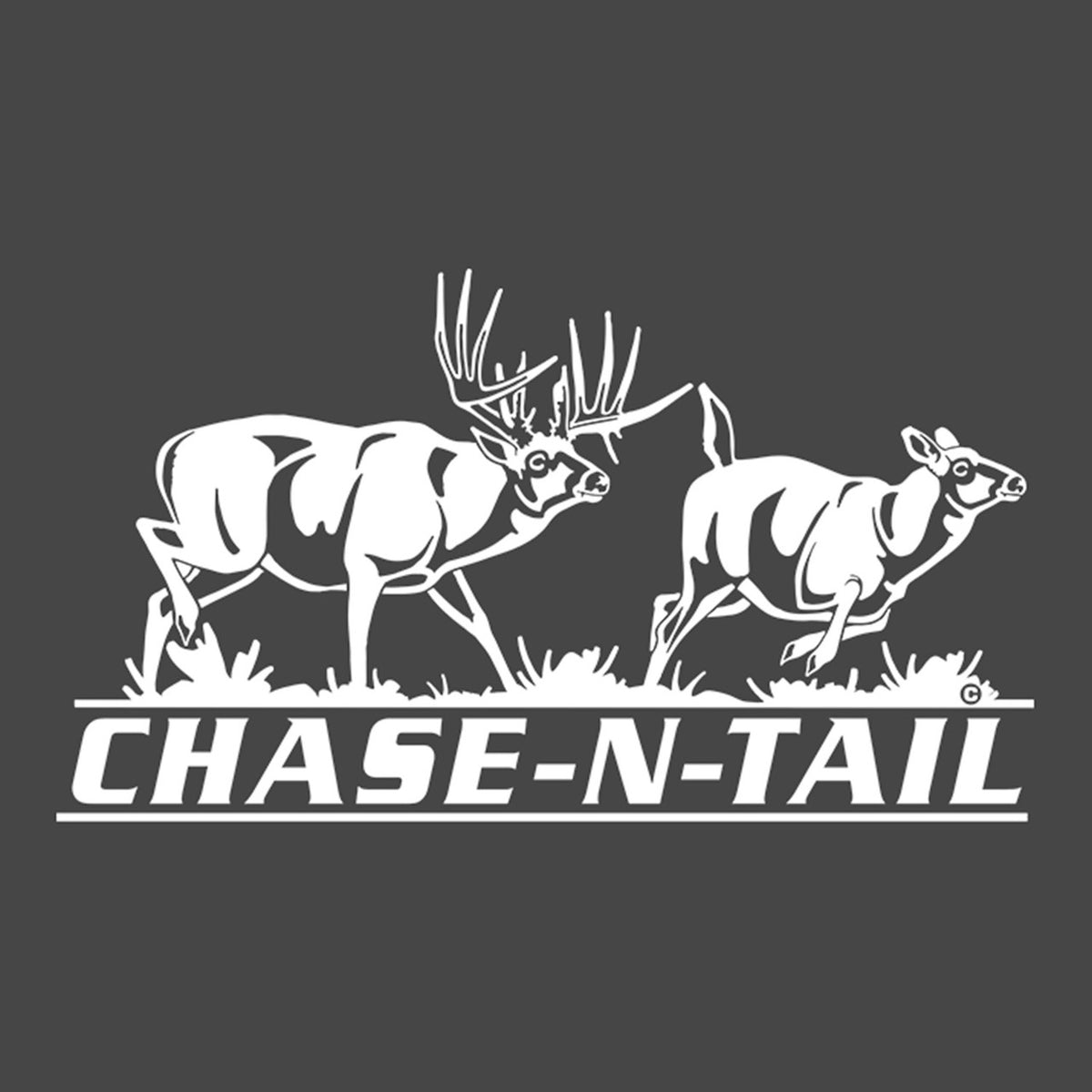 Hunters Image Chase-N-Tail Whitetail Window Decal Image