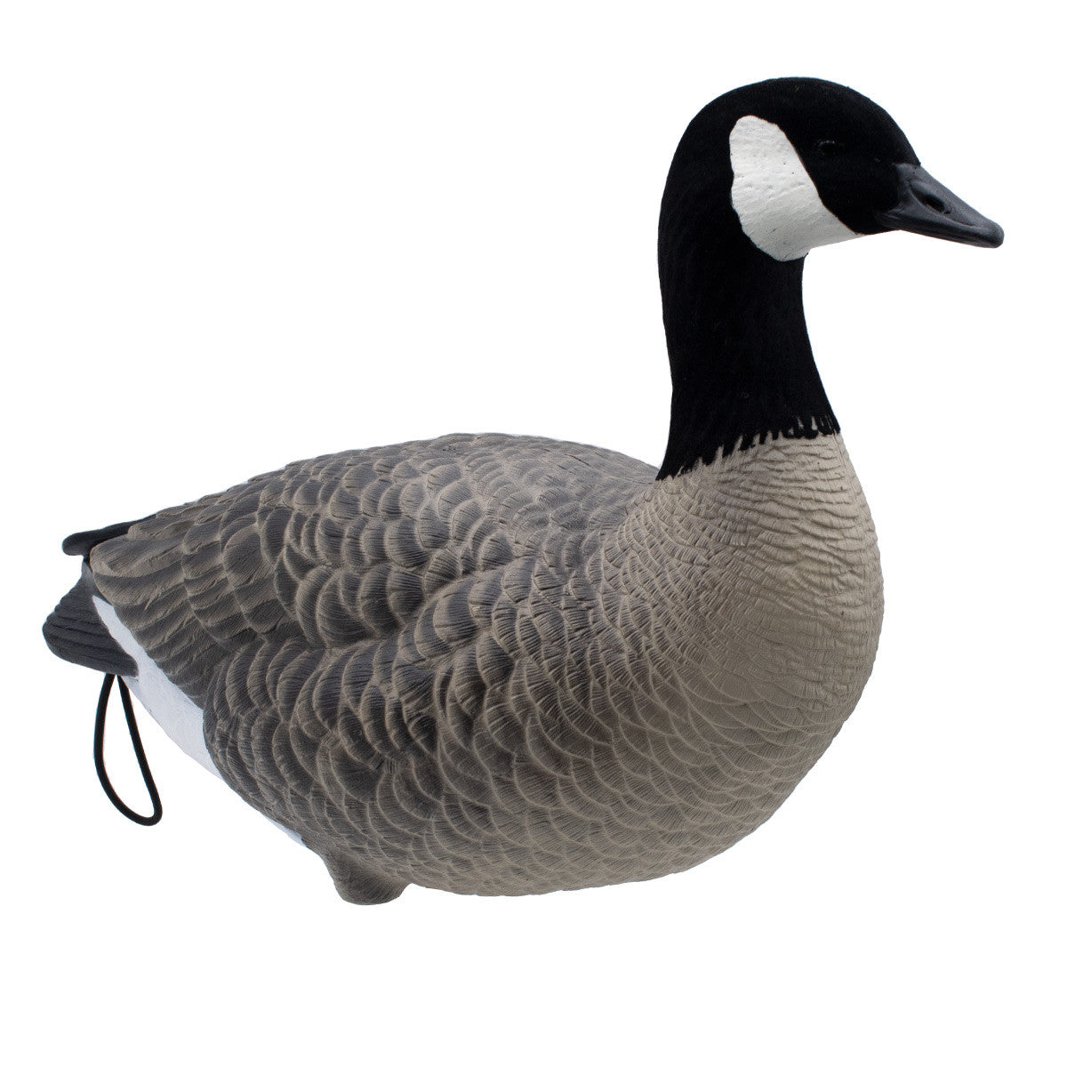 Final Approach Live Full-Body Lesser Canada Goose Decoy Upright Angled Image