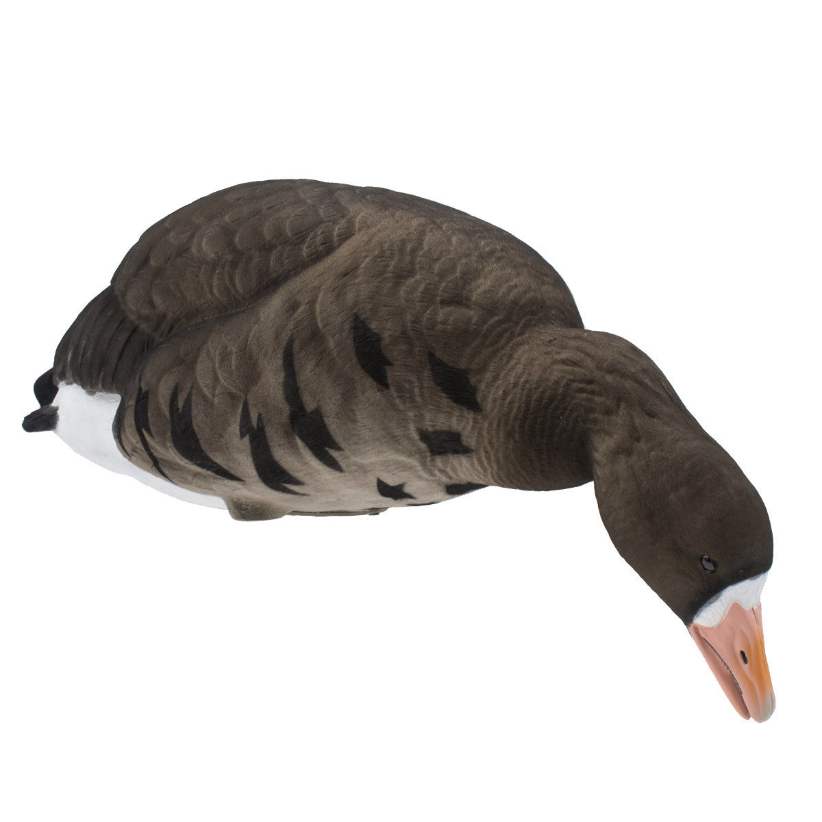 Final Approach LIVE Fully Flocked Full Body Specklebelly Goose Right Angled Image