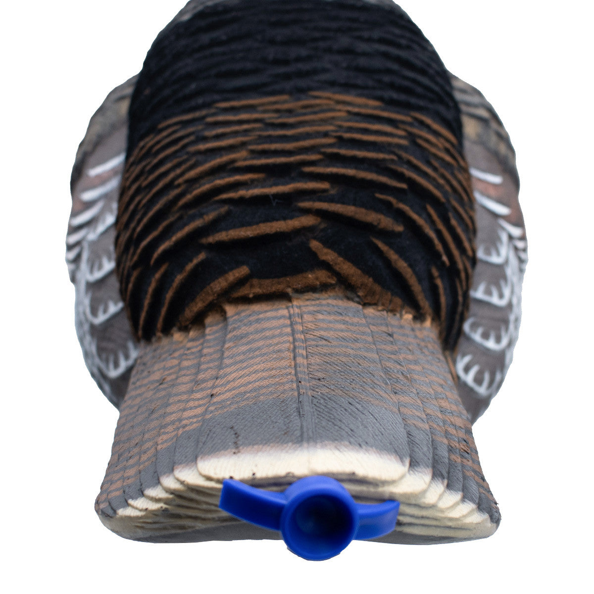 Live Jake Turkey Decoy with Flocked Back