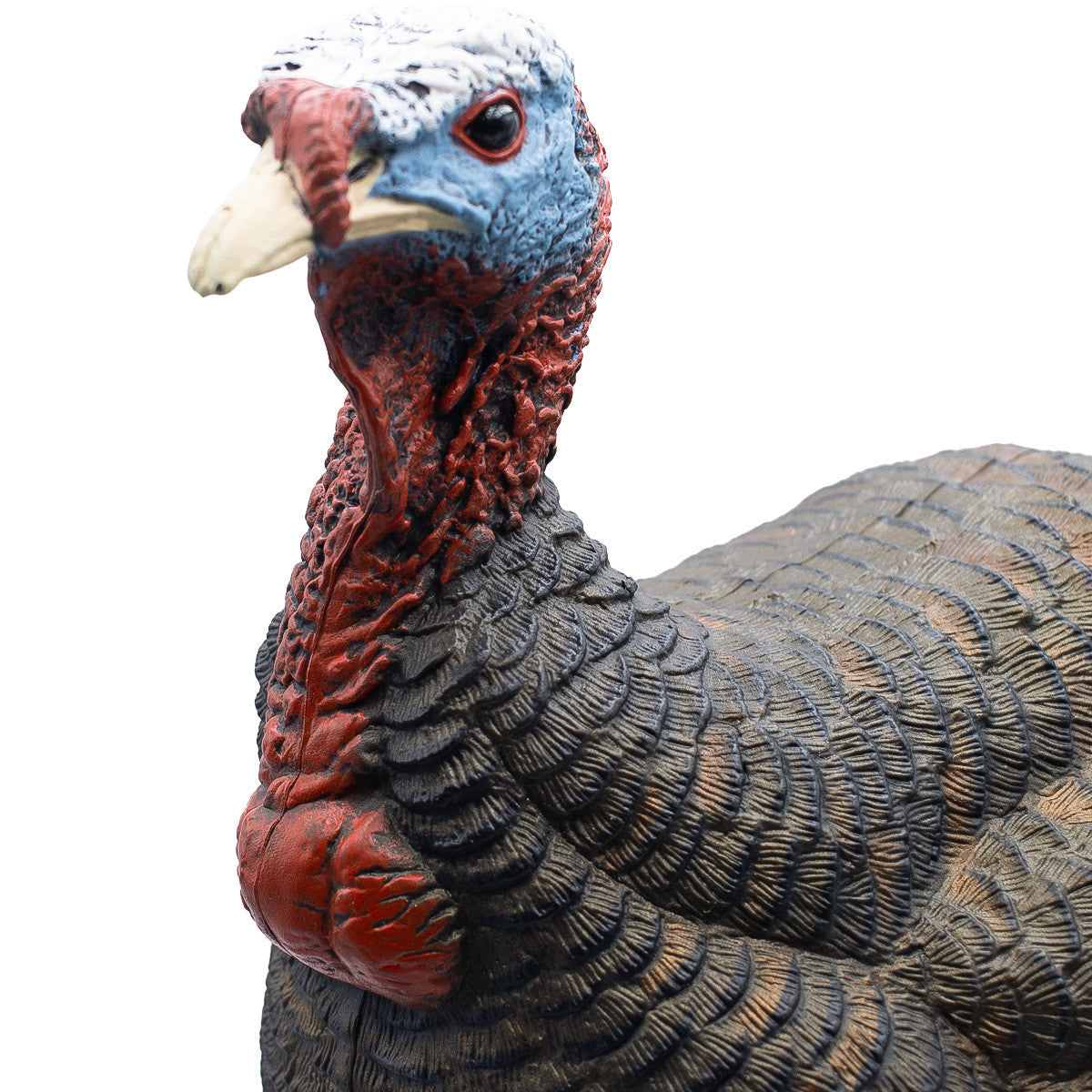 Live Jake Turkey Decoy with Flocked Back