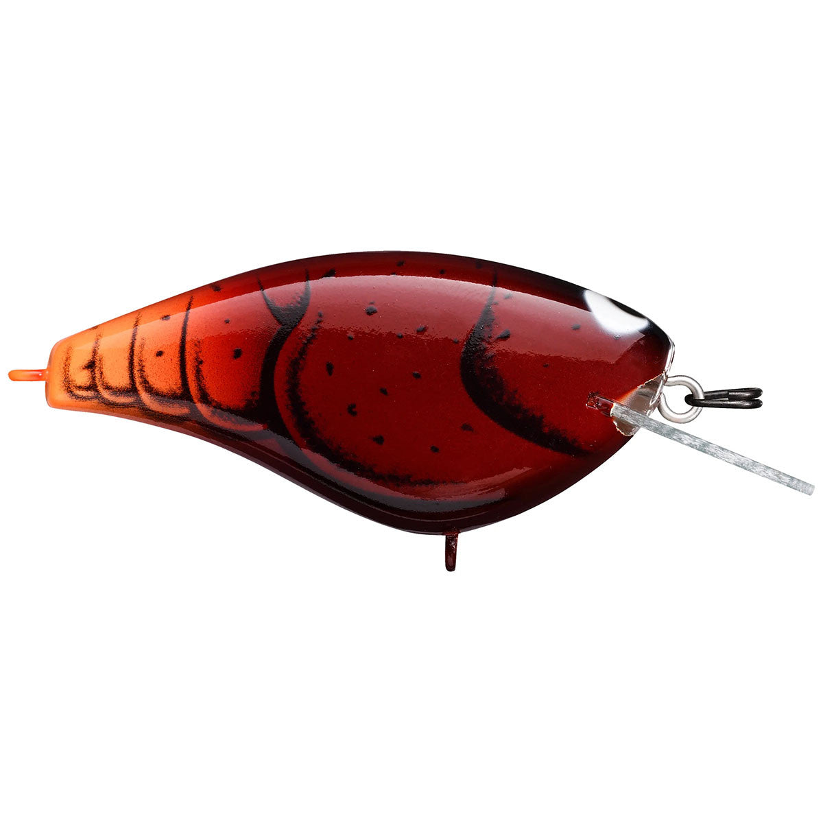 Dark Craw