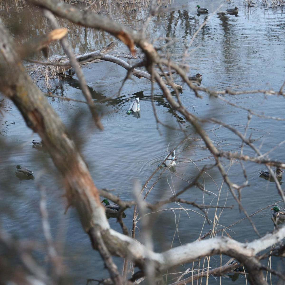 Jahpoo Flyway Deputy - Mallard Drake Motion Duck Decoy
