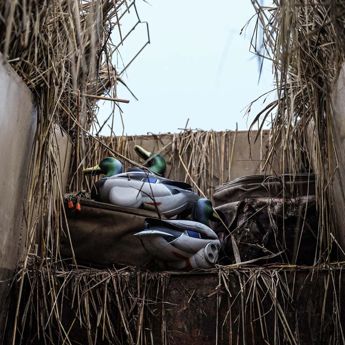 Jahpoo Flyway Deputy - Mallard Drake Motion Duck Decoy