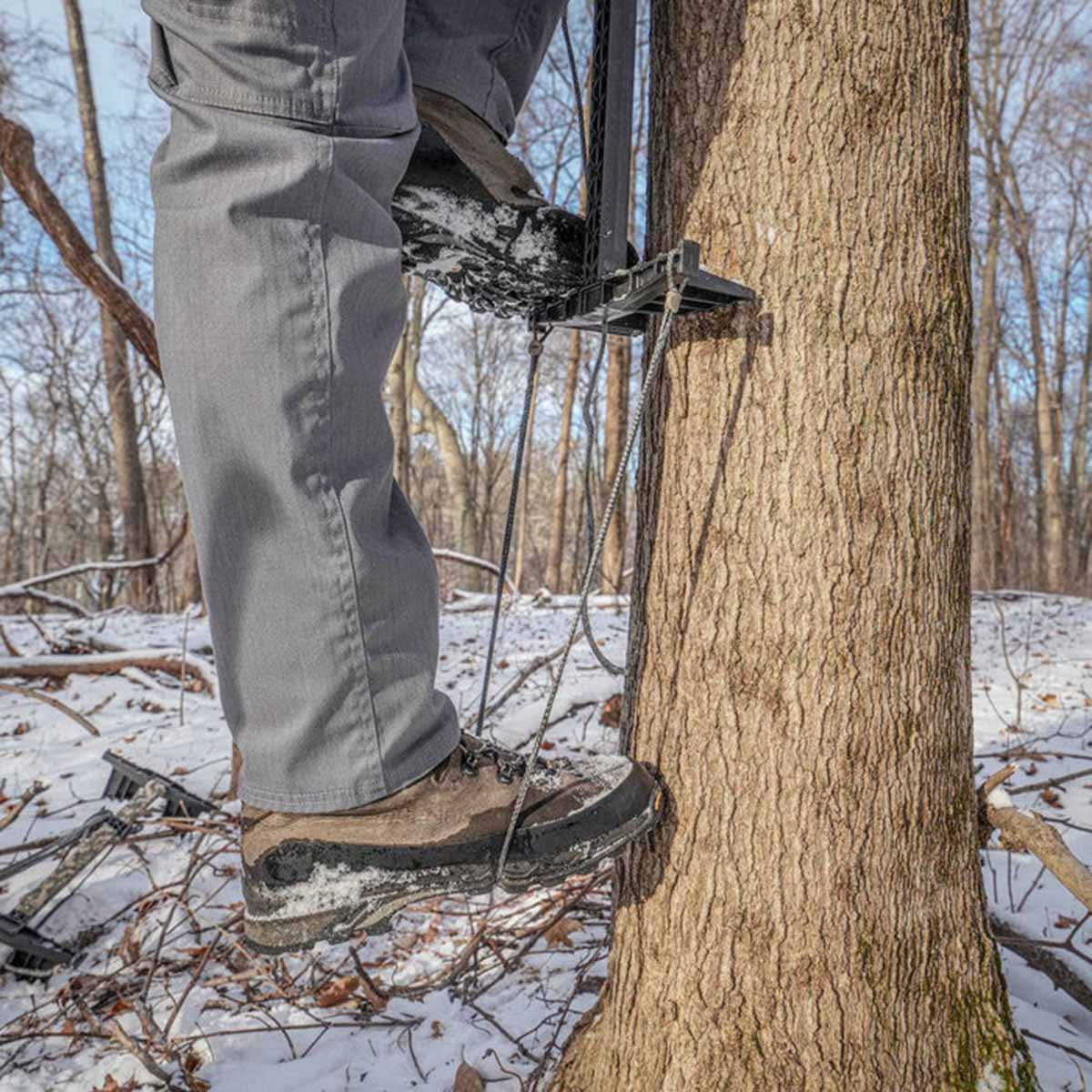 Latitude Amsteel Single-Step Aider On Tree Image