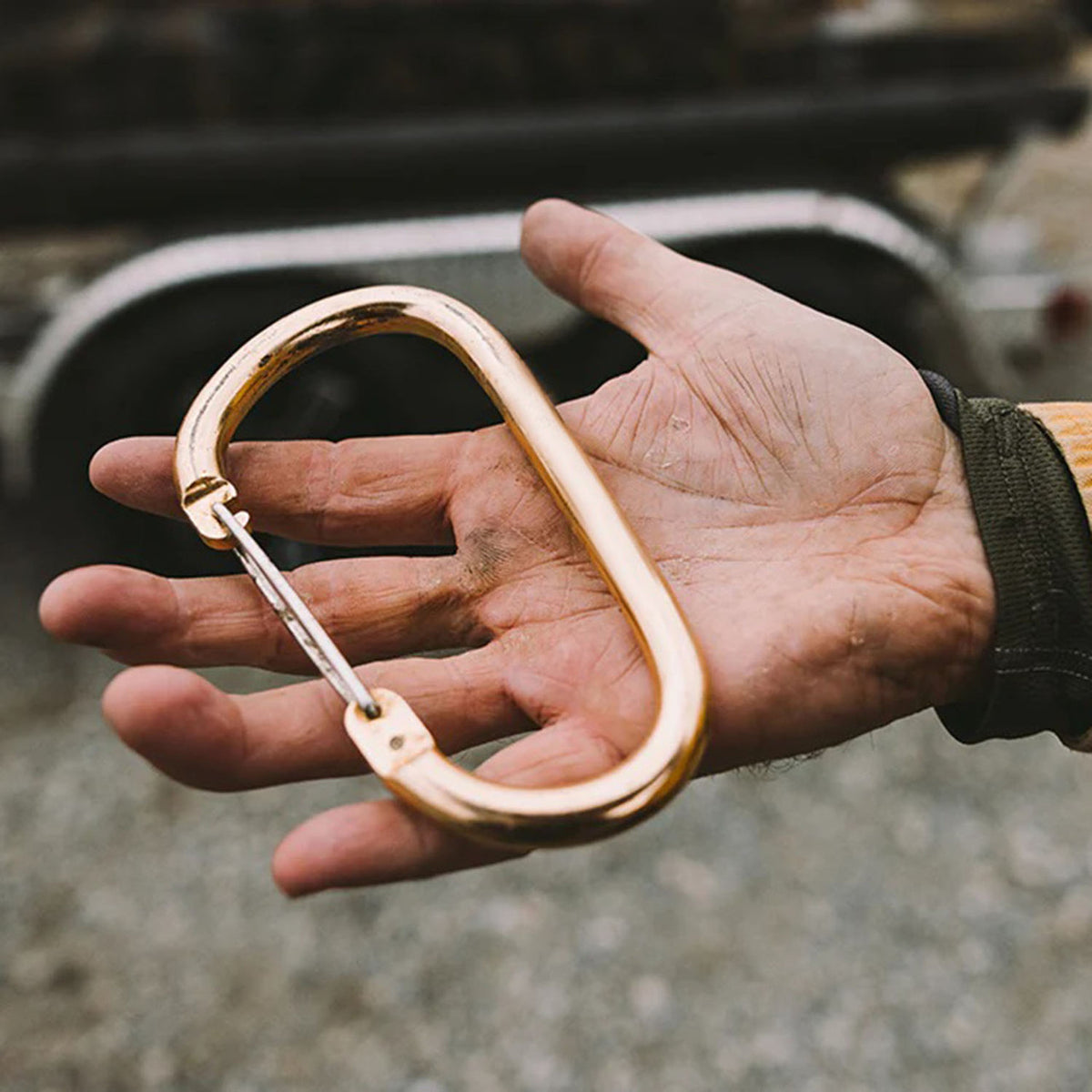 HangAll Carabiners 2 Pack Size Image