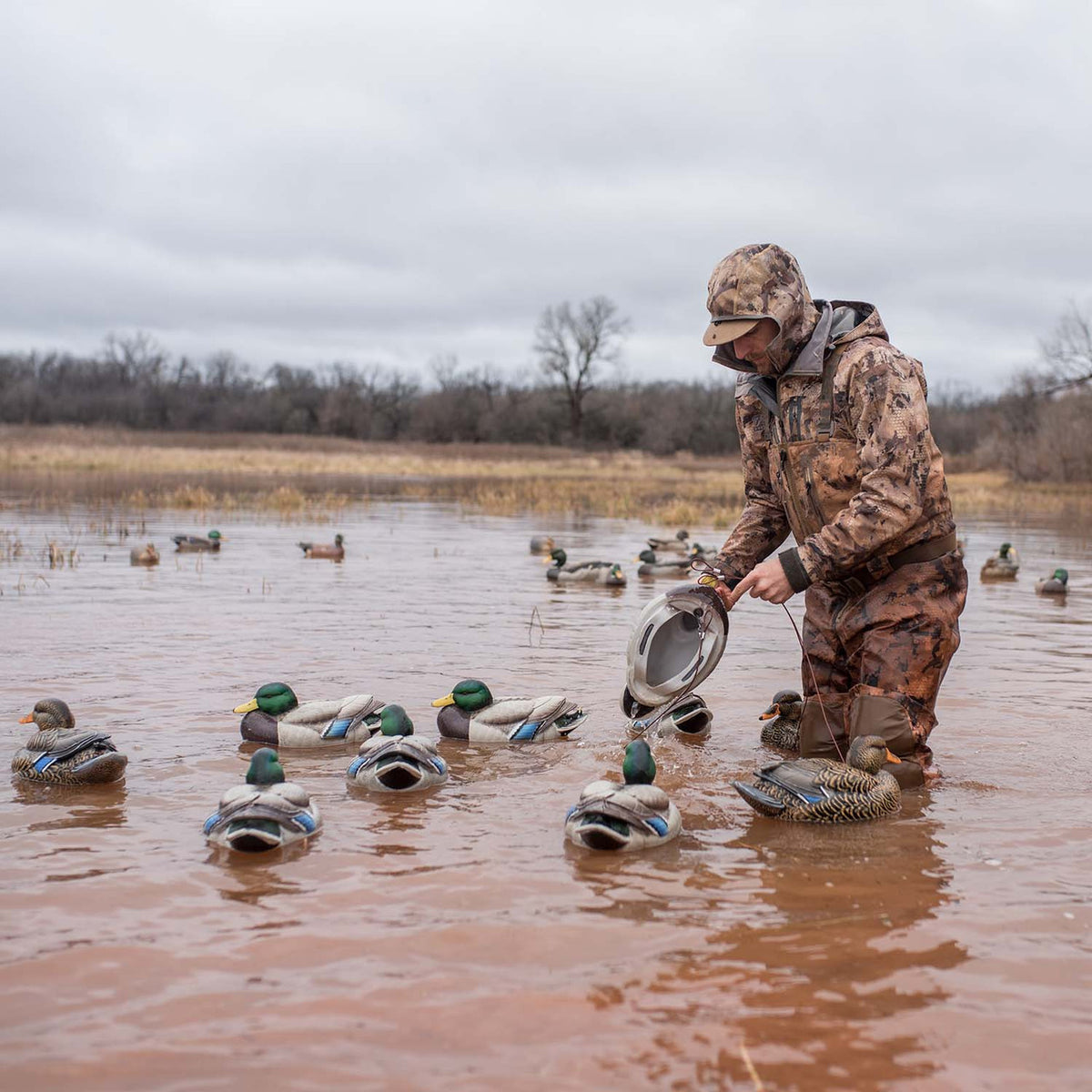 Heyday HydroFoam Mallard Decoys In-the-Field Image