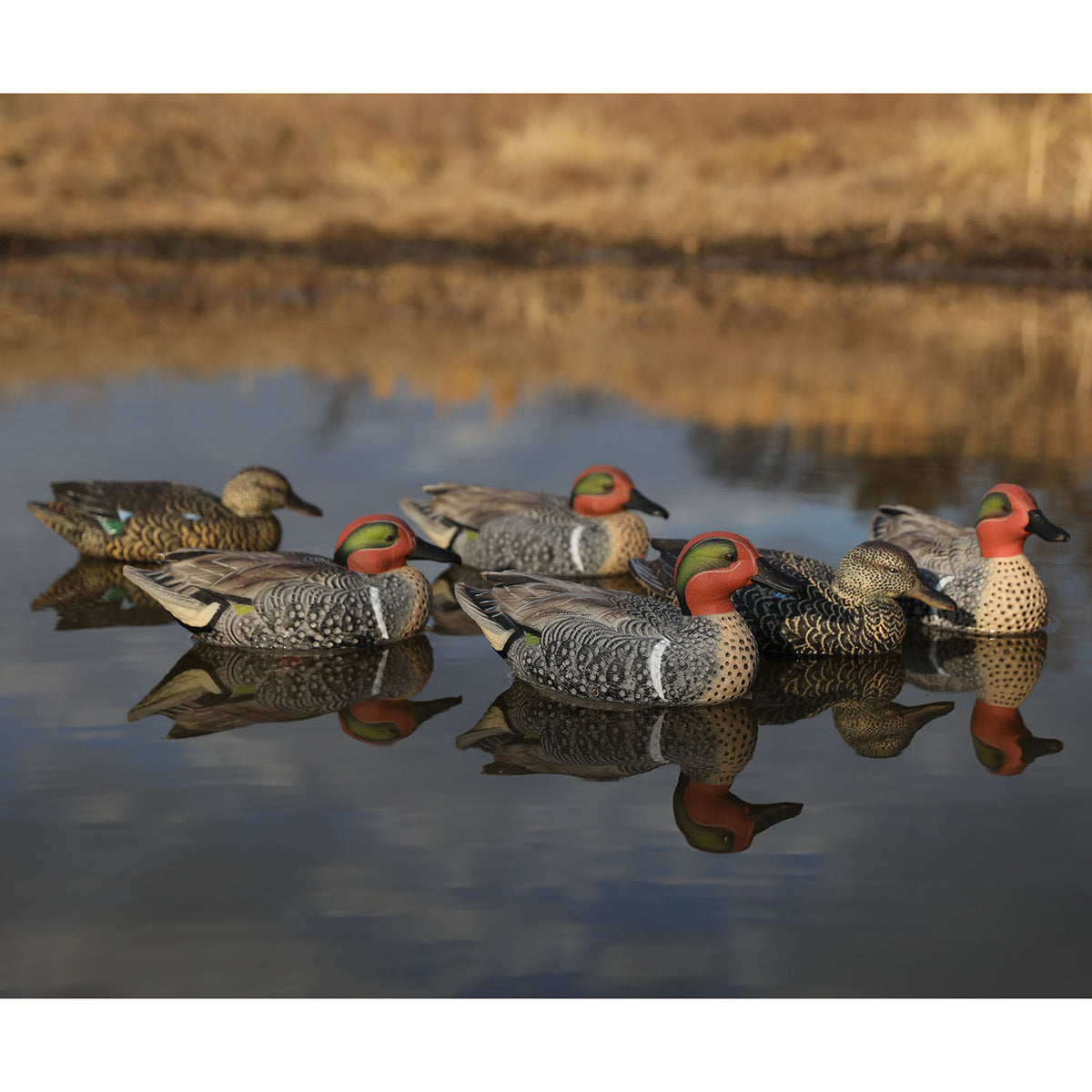Heyday HydroFoam Green-Winged Teal Duck Decoys 6 Pack Lifestyle Image