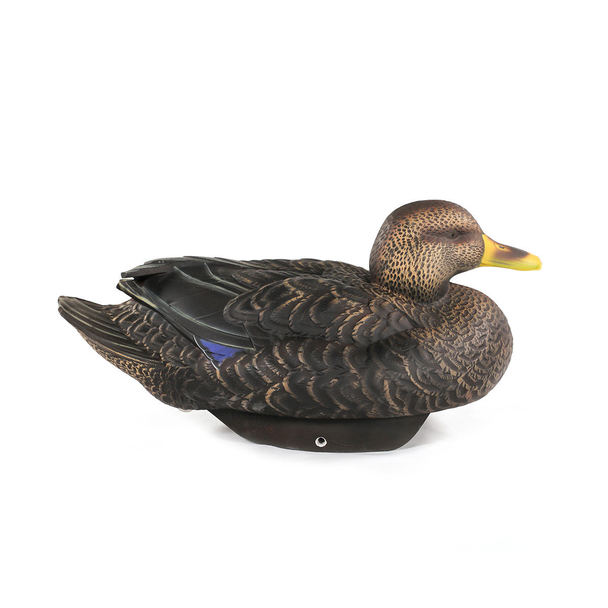 HydroFoam Black Ducks, 6 Pack