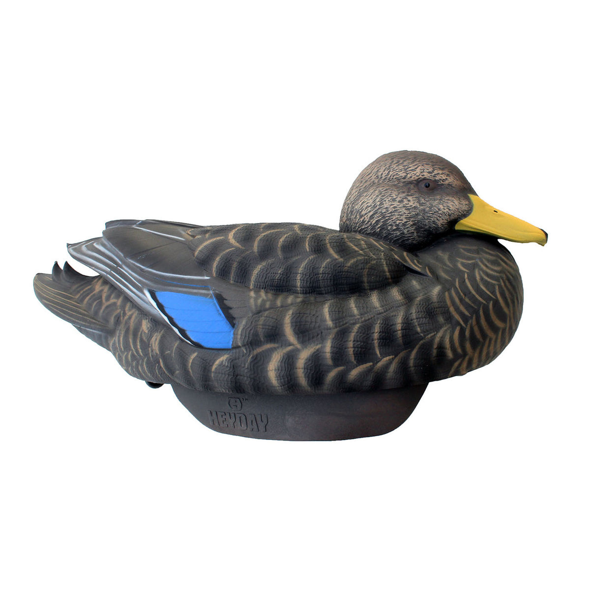 Heyday HydroFoam Black Duck Drake Image