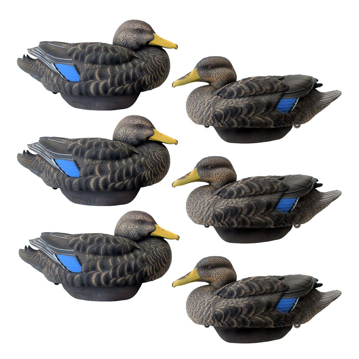 Heyday HydroFoam Black Ducks 6 Pack Image