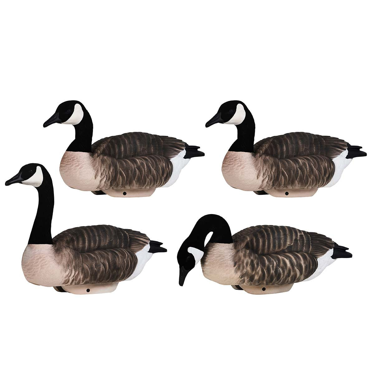Heyday Outdoors HydroFoam Canada Goose Floater Decoys - 4 Pack Image