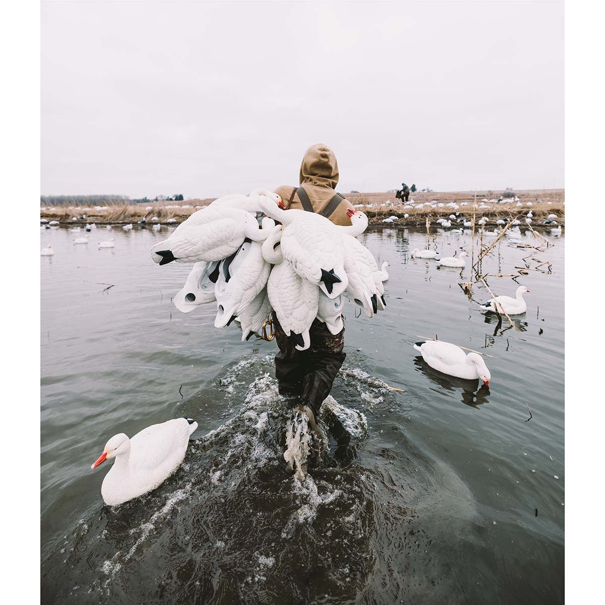 HEYDAY HydroFoam Snow Goose Floater Decoys Lifestyle Image