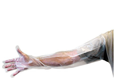 Shoulder Length Poly Gloves - 3 pair