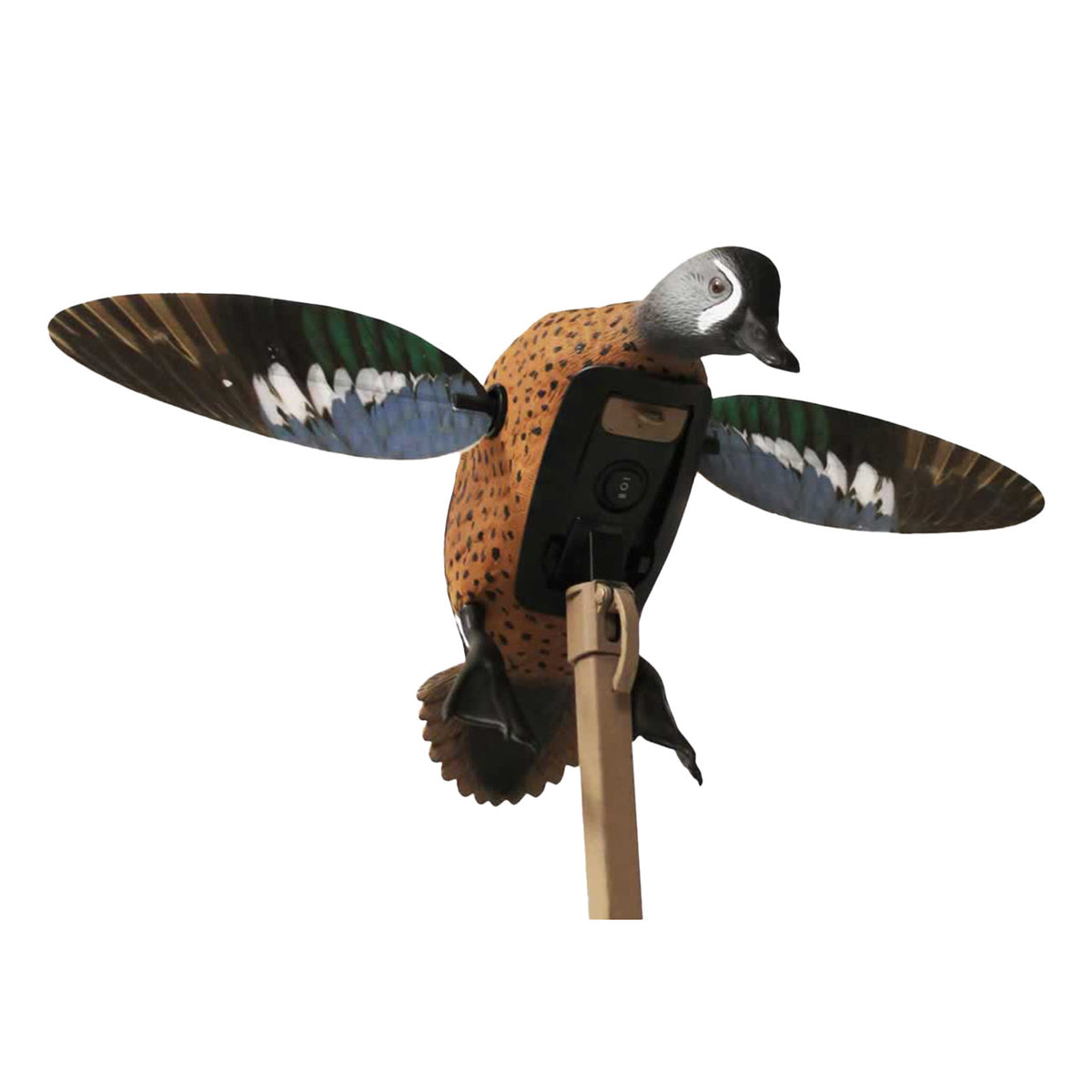 Mojo Elite Series Blue-Winged Teal Motorized Duck Decoy Image