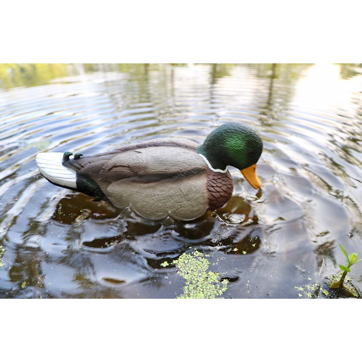 Rippler Vibrating Motion Duck Decoy