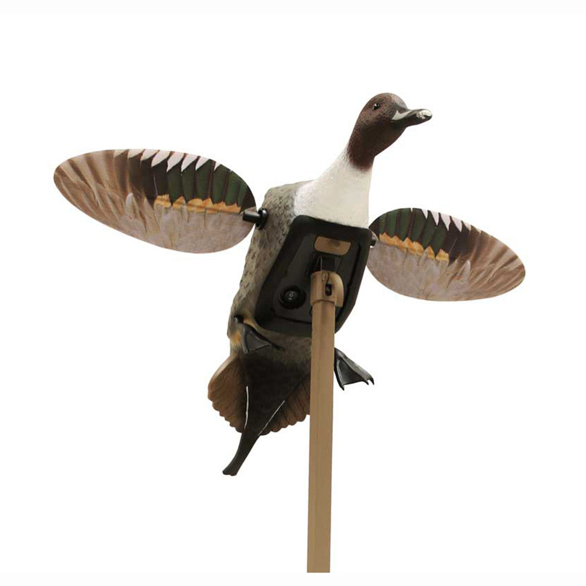 MOJO Outdoors Elite Series Pintail Duck Spinning Wing Decoy Image