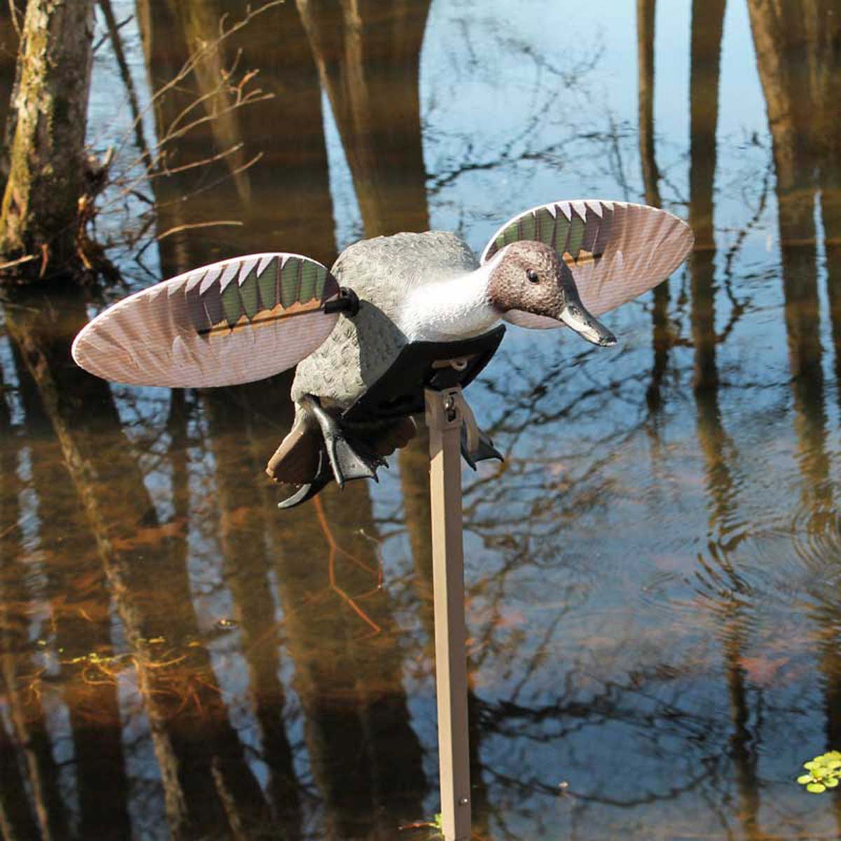 MOJO Outdoors Elite Series Pintail Duck Spinning Wing Decoy In-the-Field Image