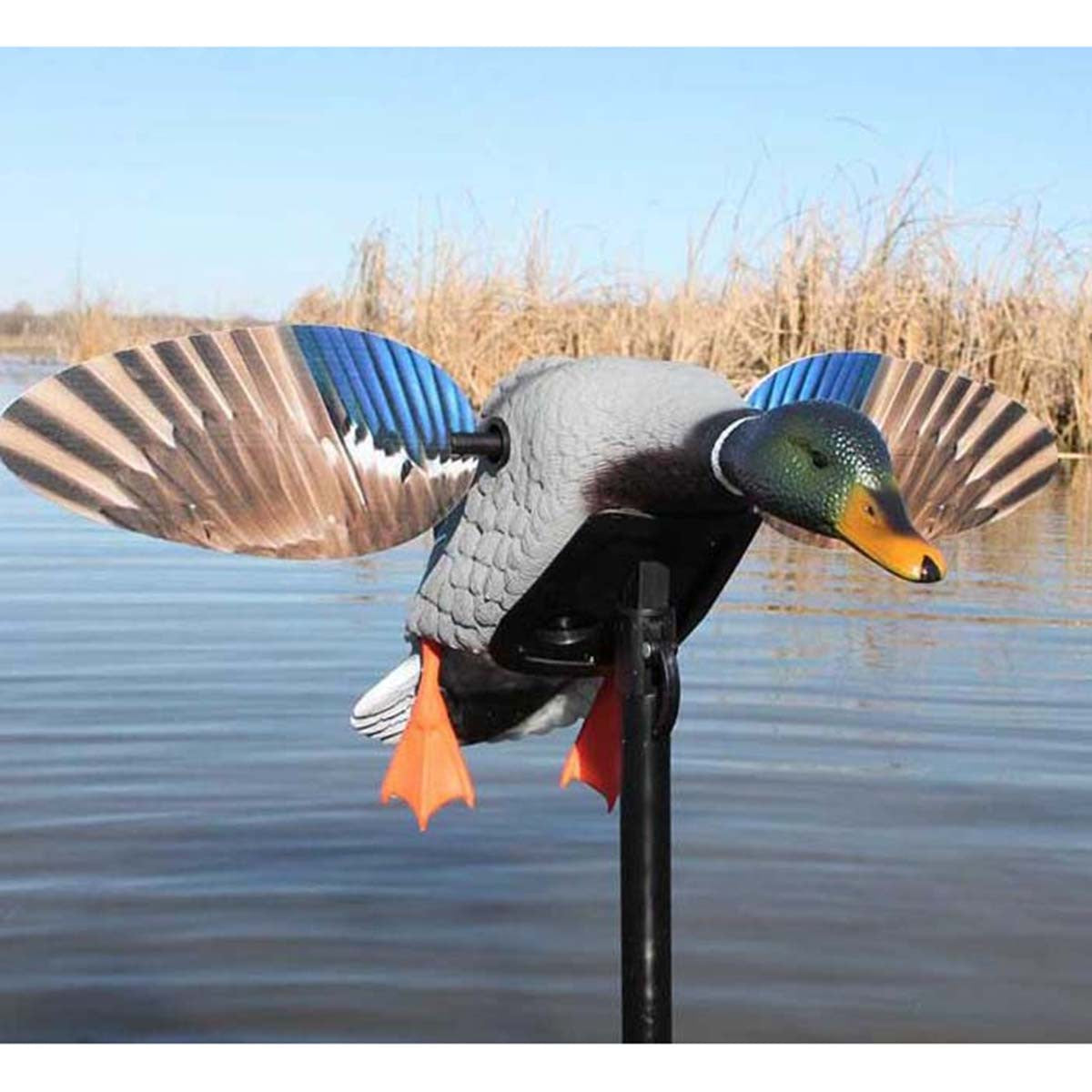 Elite Series Mini Mallard Drake Motorized Duck Decoy