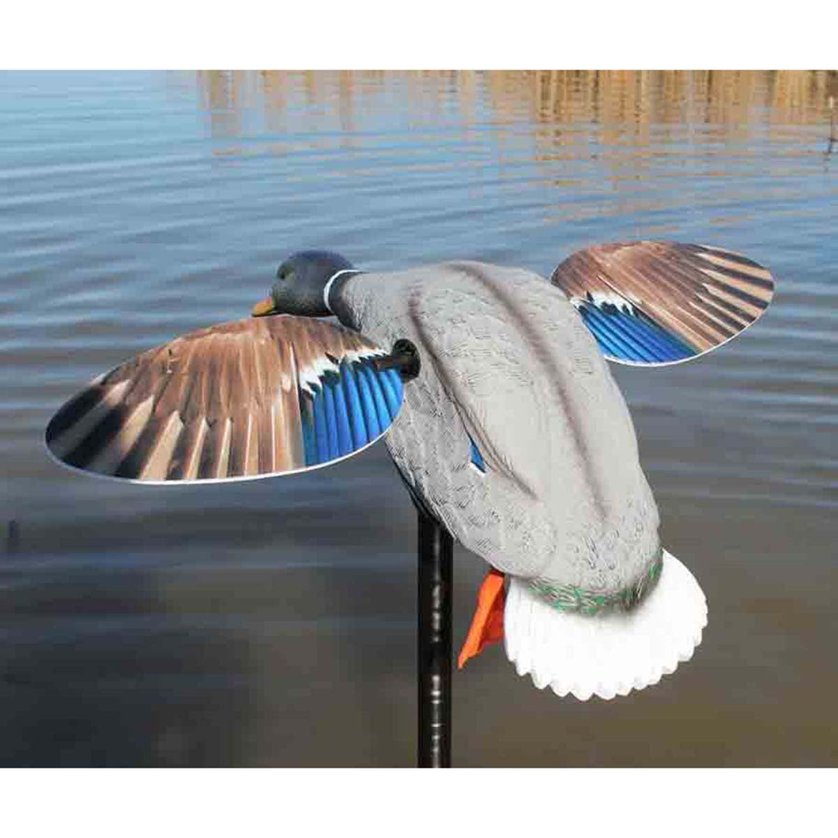 Elite Series Mini Mallard Drake Motorized Duck Decoy