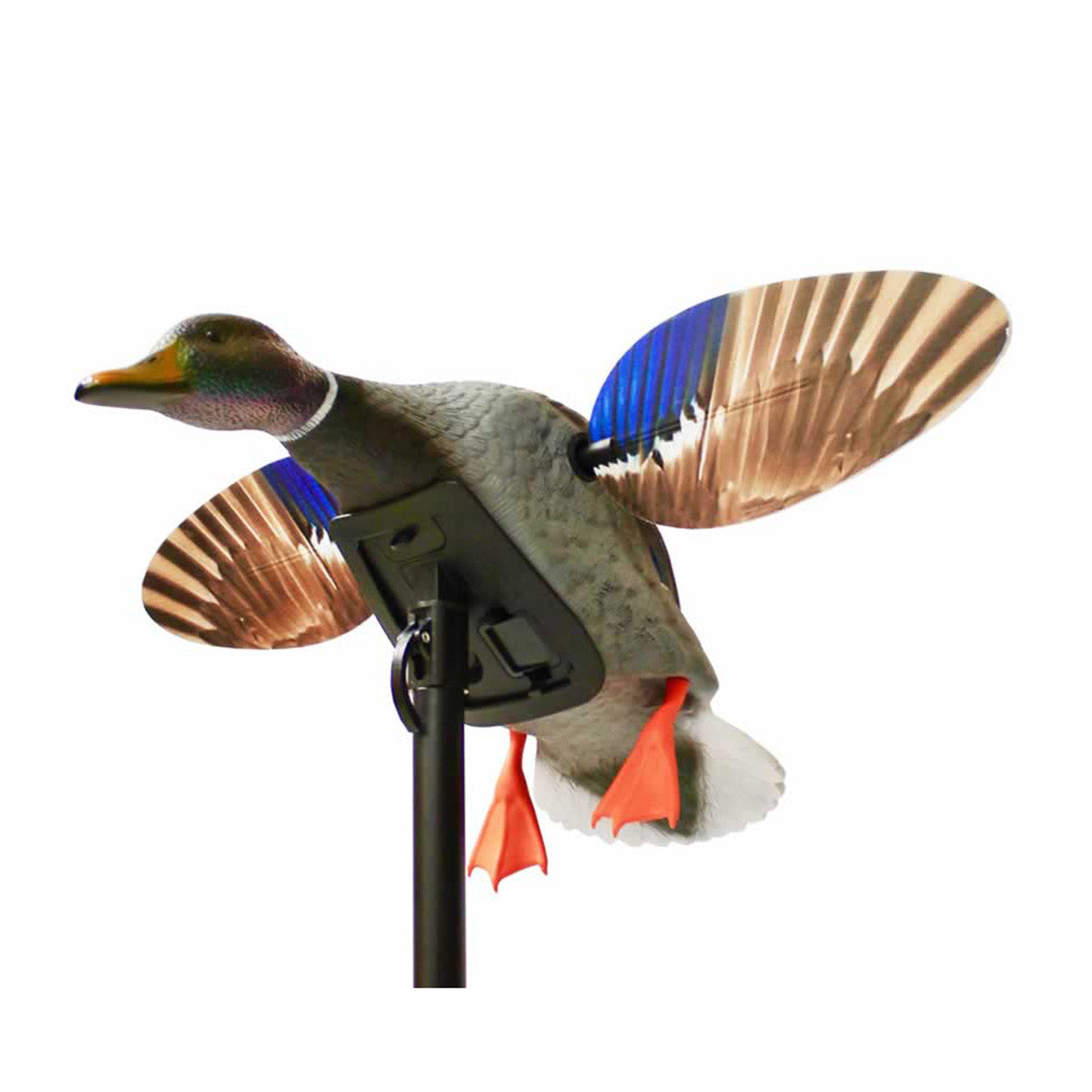 Mini Mallard Drake Spinning Wing Decoy