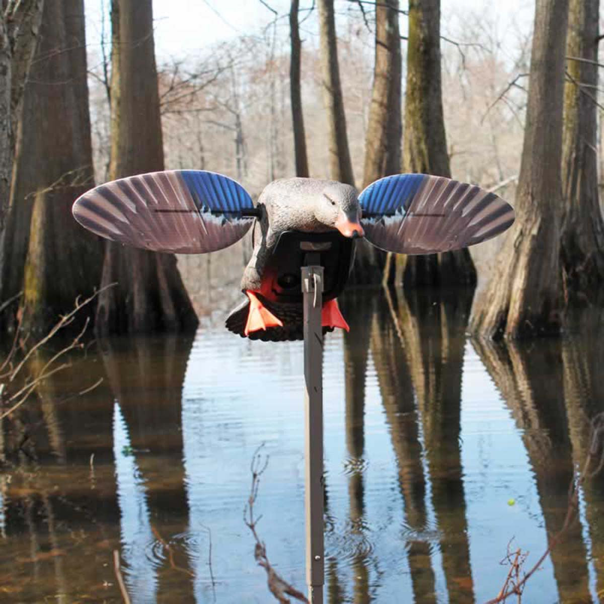 Elite Series Mini Mallard Hen Motorized Duck Decoys with motorized spinning wings, displayed in the fields