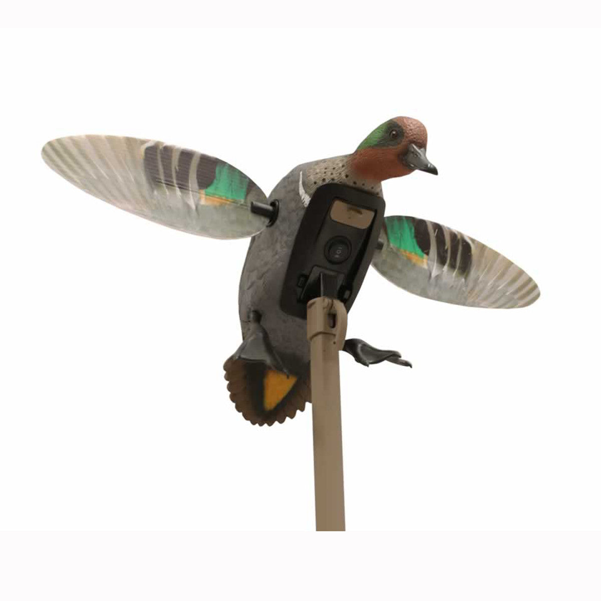 Mojo Outdoors Elite Series Green-Winged Teal Spinning Wing Duck Decoy Image.