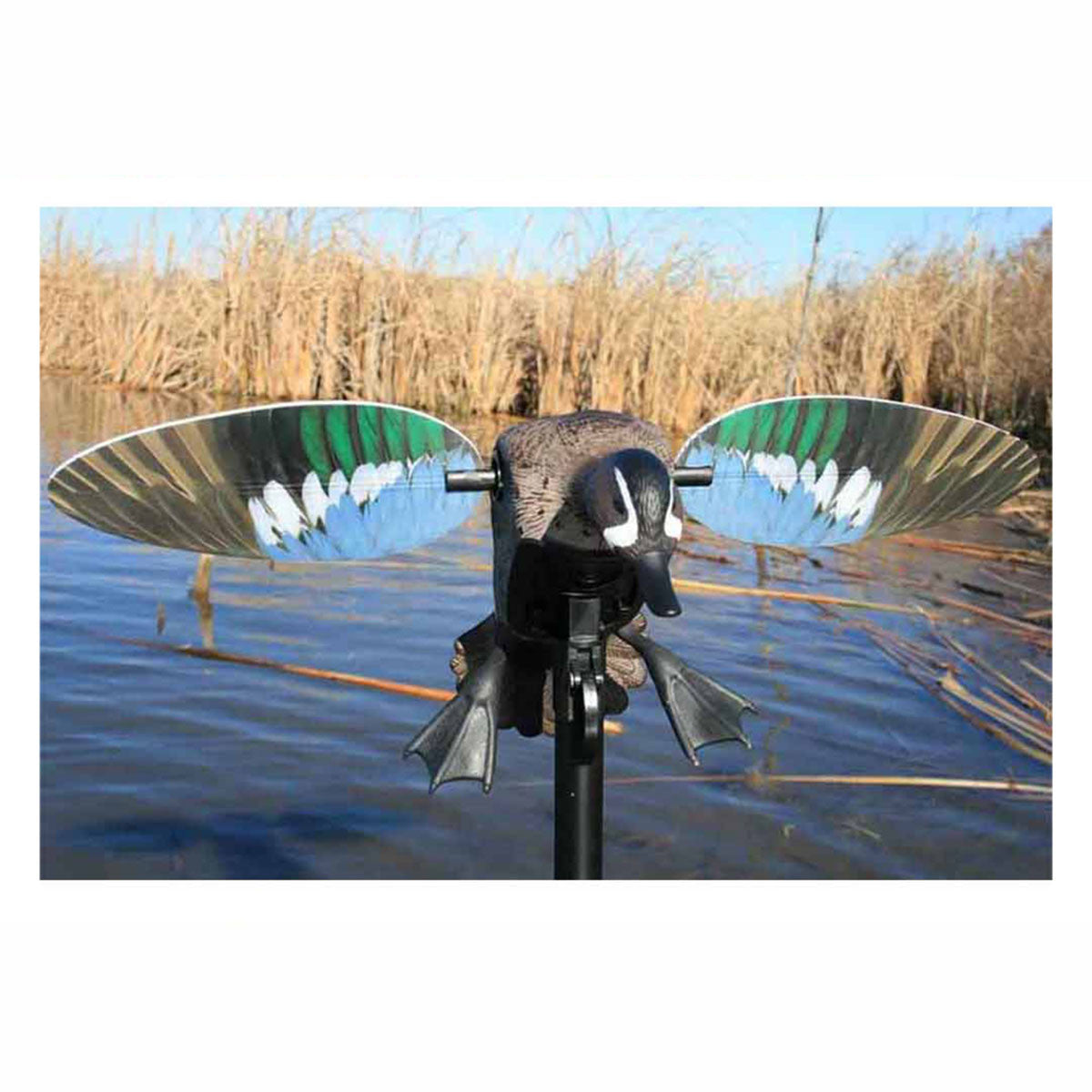 Mojo Elite Series Blue-Winged Teal Motorized Duck Decoy Image