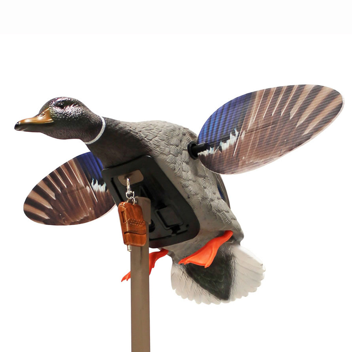 MOJO Outdoors Elite Series Mini Mallard Drake Spinning Wing Decoy with Remote Image