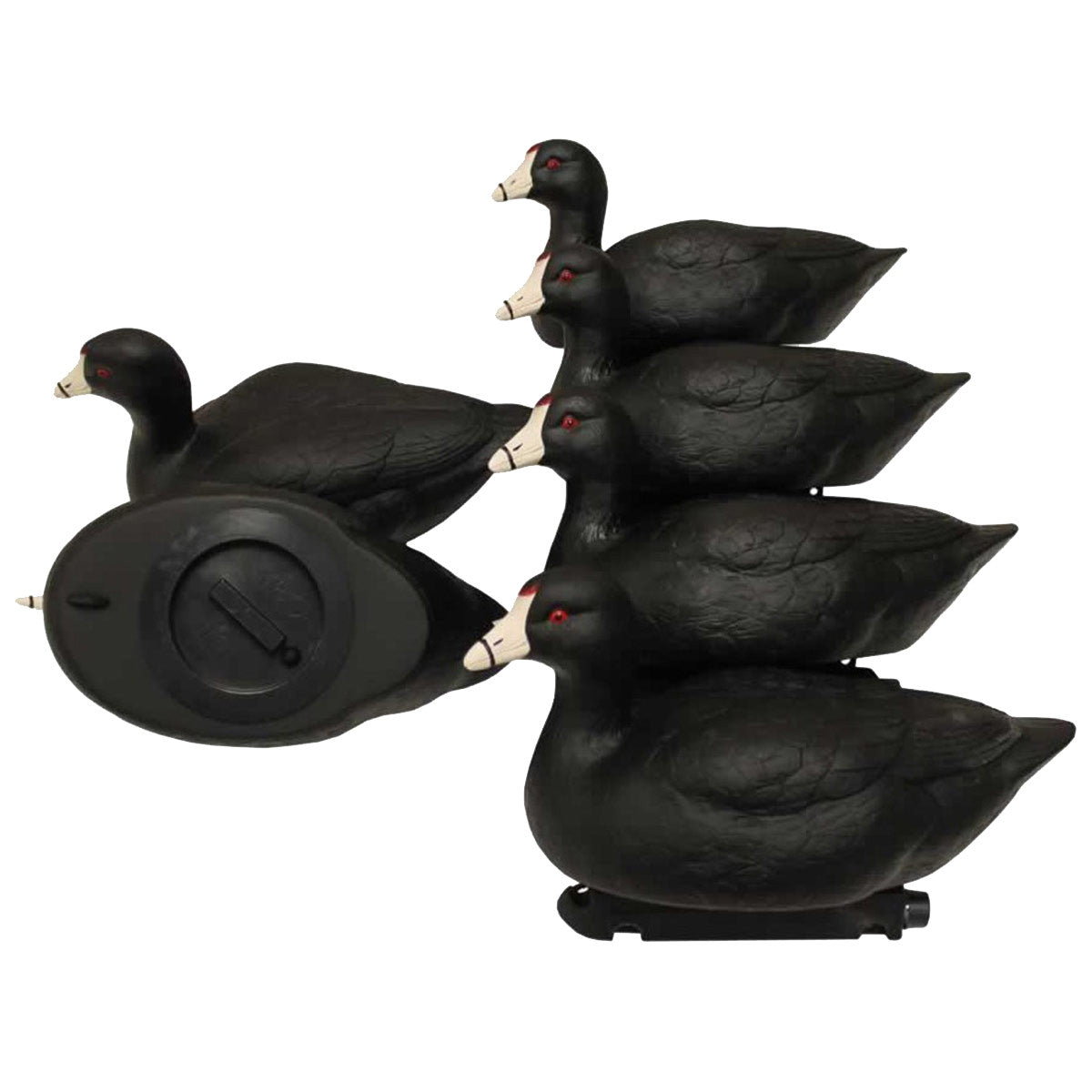 Mojo Outdoors Coot Confidence Duck Decoys, 6 Pack Image