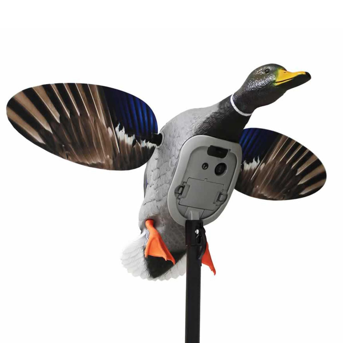 Elite Series King Mallard Spinning Wing Decoy with 6V Li-ion Battery