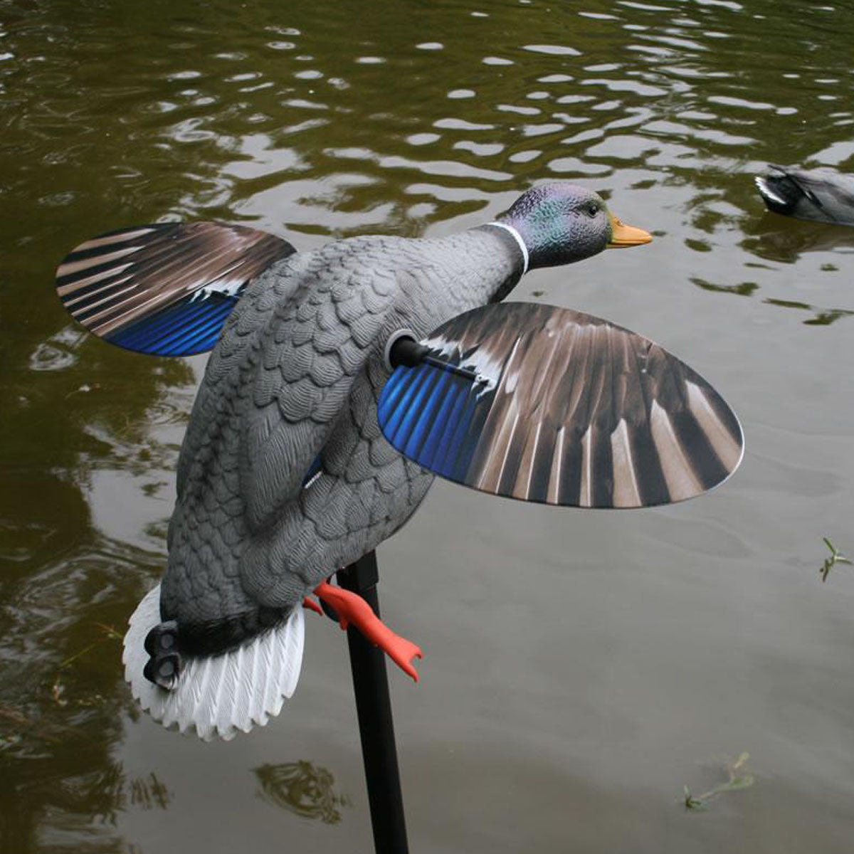 Elite Series King Mallard Spinning Wing Decoy with 6V Li-ion Battery
