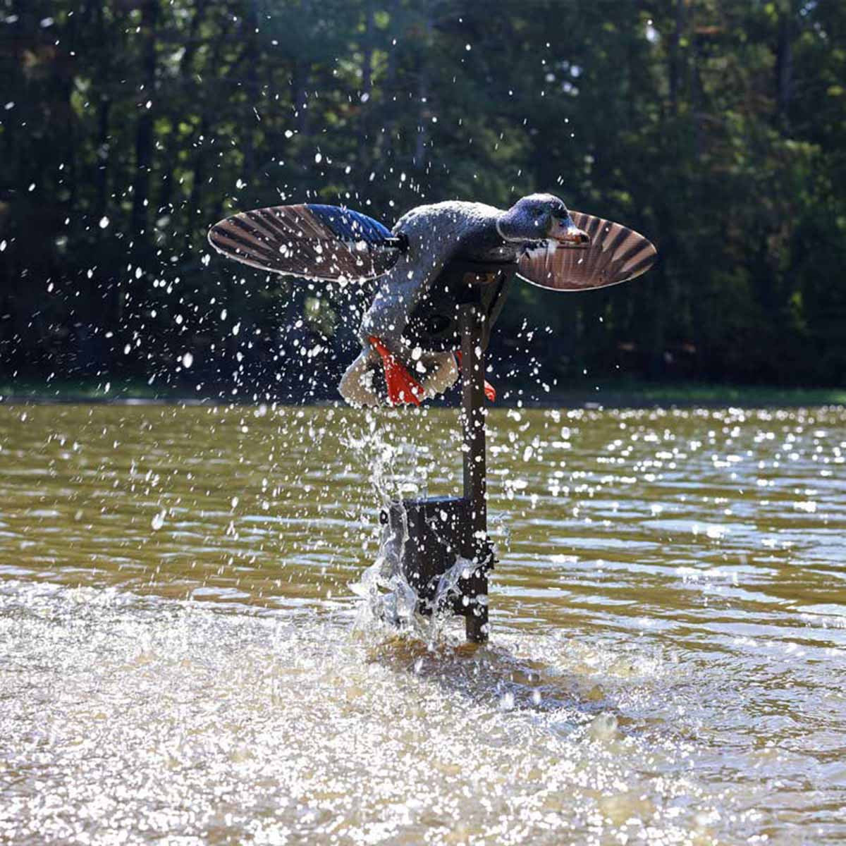 Mojo Triple Whammy Waterfowl Decoy Motion Device In Use Image