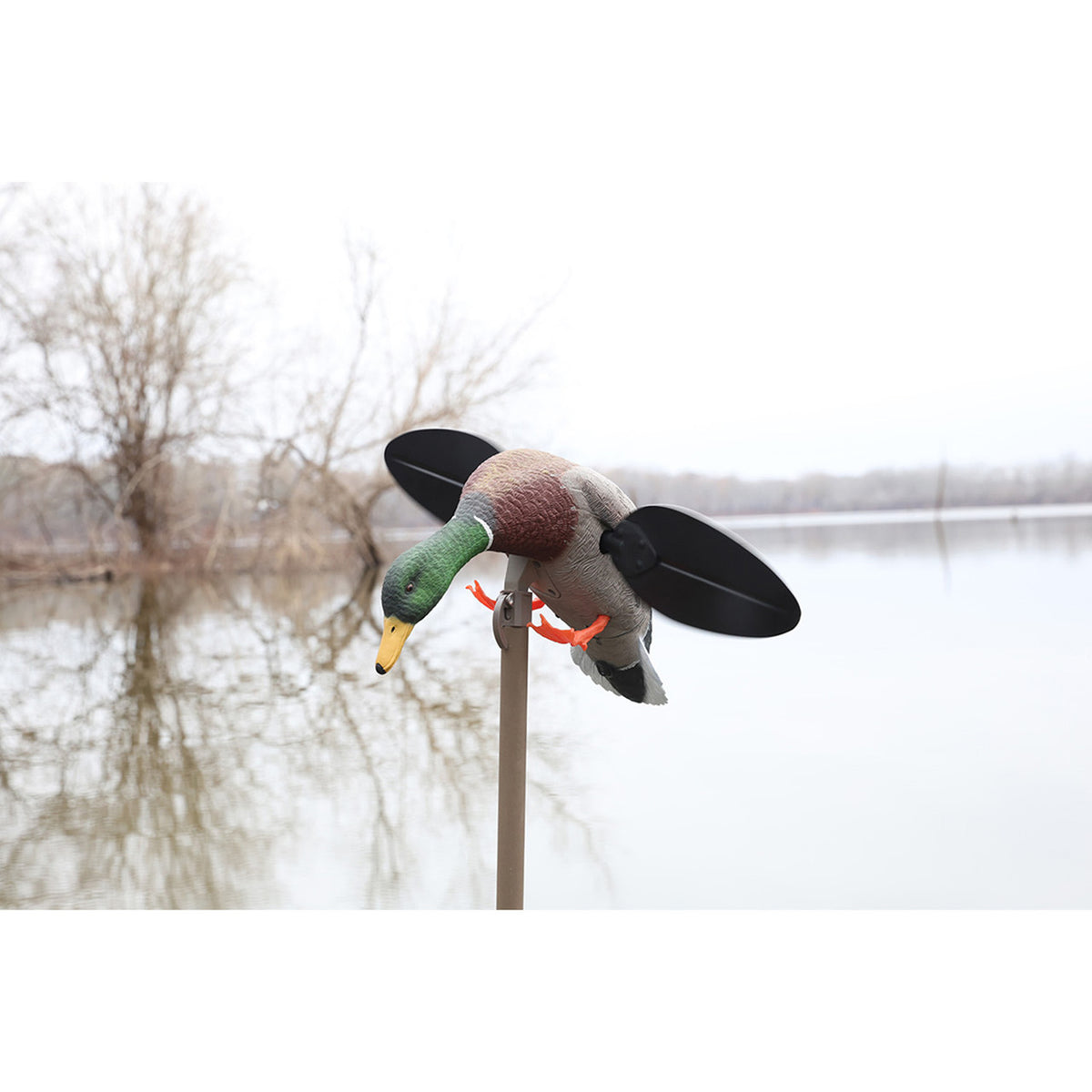 MOJO Timber Blind Bag Field Image